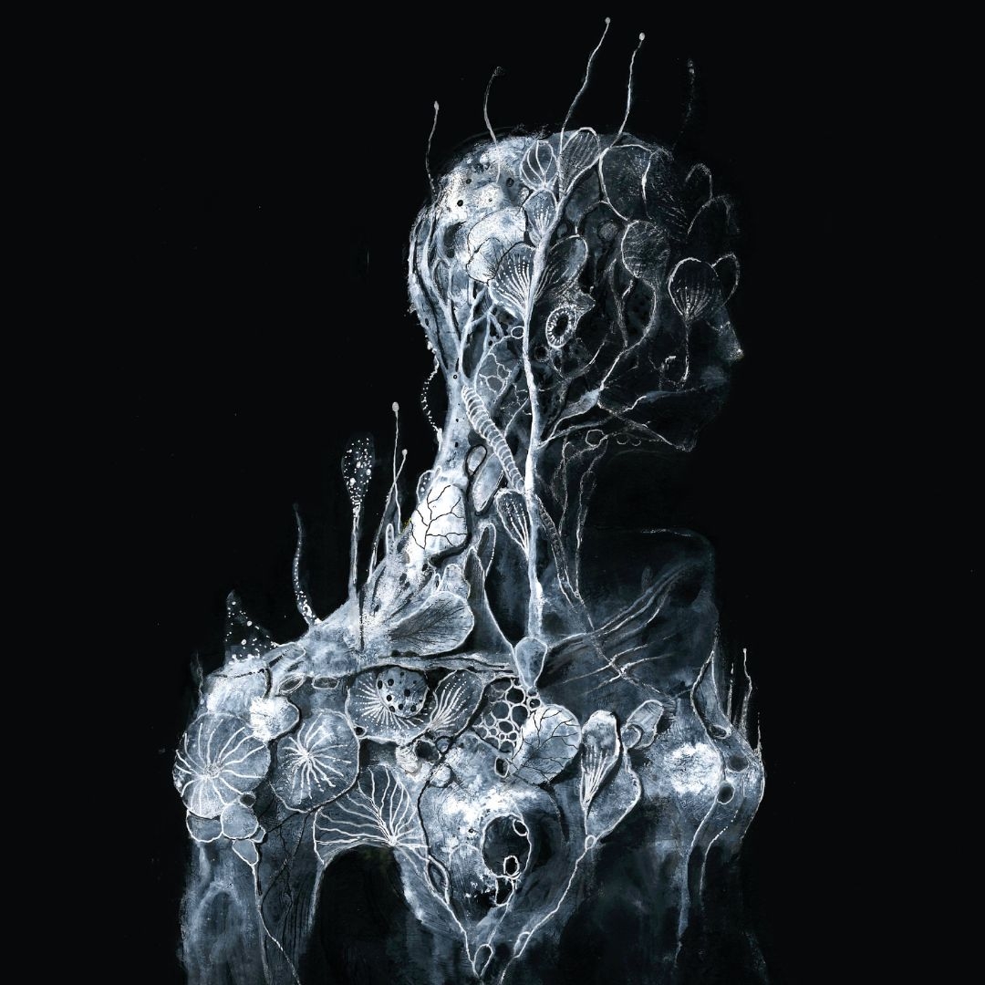 Deceiver 🖤🔥 #prog #progmusic #progrock #soen #soenmusic | Soen