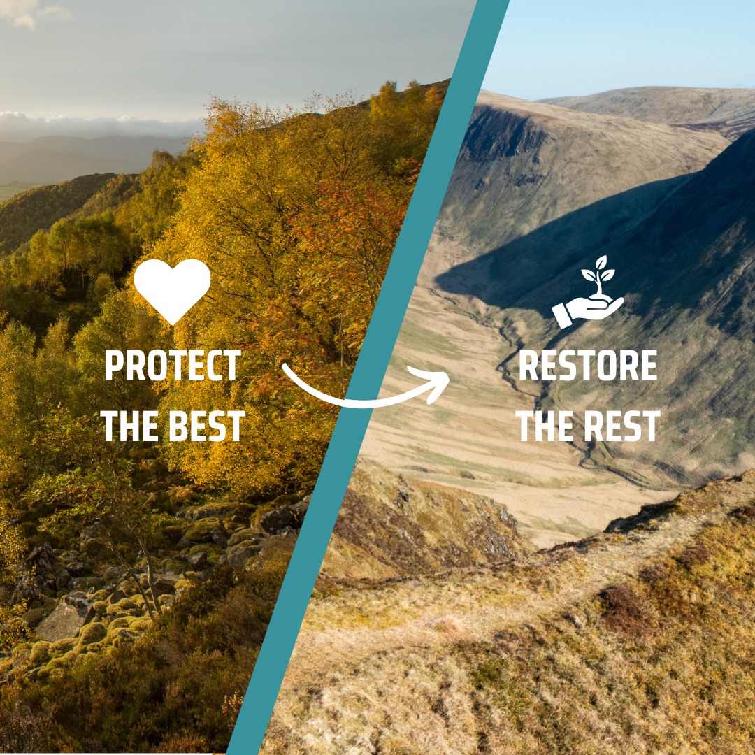The Scottish - Huge news for Scotland’s nature! 🏴󠁧󠁢󠁳󠁣󠁴󠁿 🌳🦅🪱 🍄 The ...