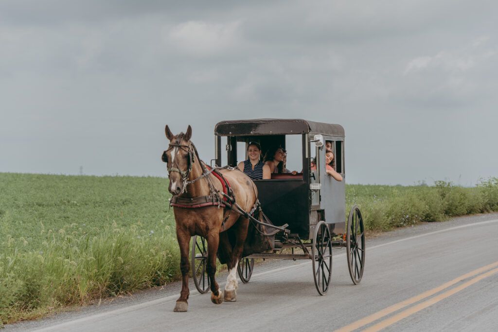 The Real - Experience our way of life on a 30 minute ride around a real ...