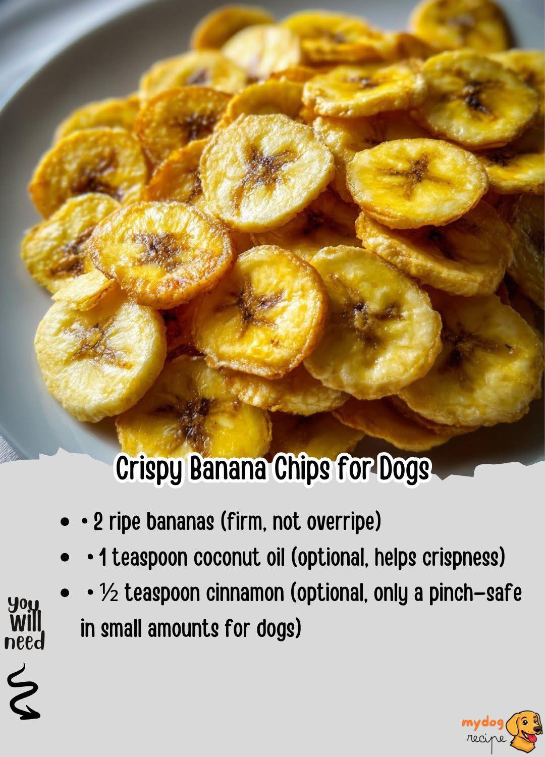 Healthy banana chips for dogs recipe
