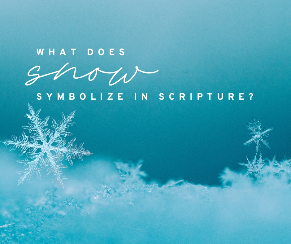 Saint - Snow is for snowball fights, snowmen, and snowmobiling. But ...