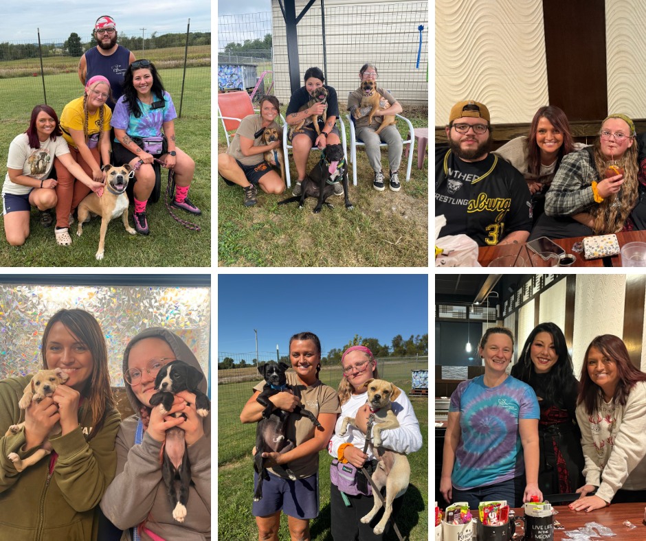 Fayette - 🐾💛 Employee Spotlight: Ashley 💛🐾 Ashley is one of those ...