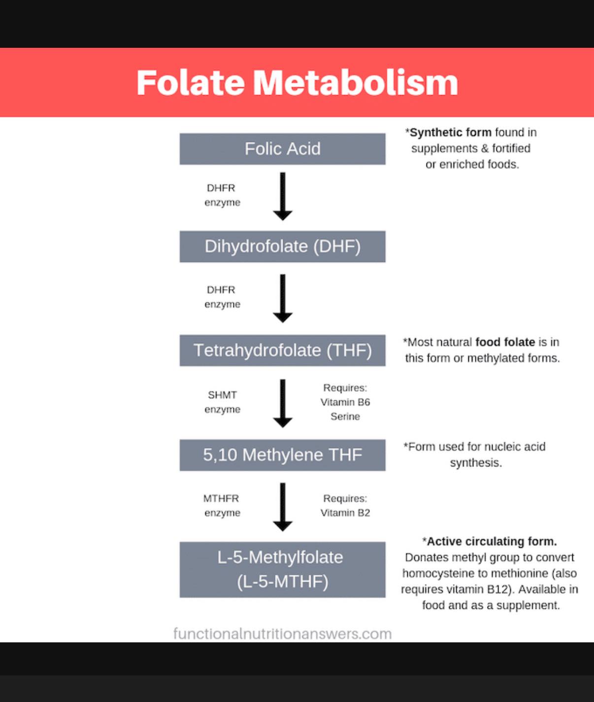 Dr. Poppy - No, folic acid is not the same thing as... | Facebook