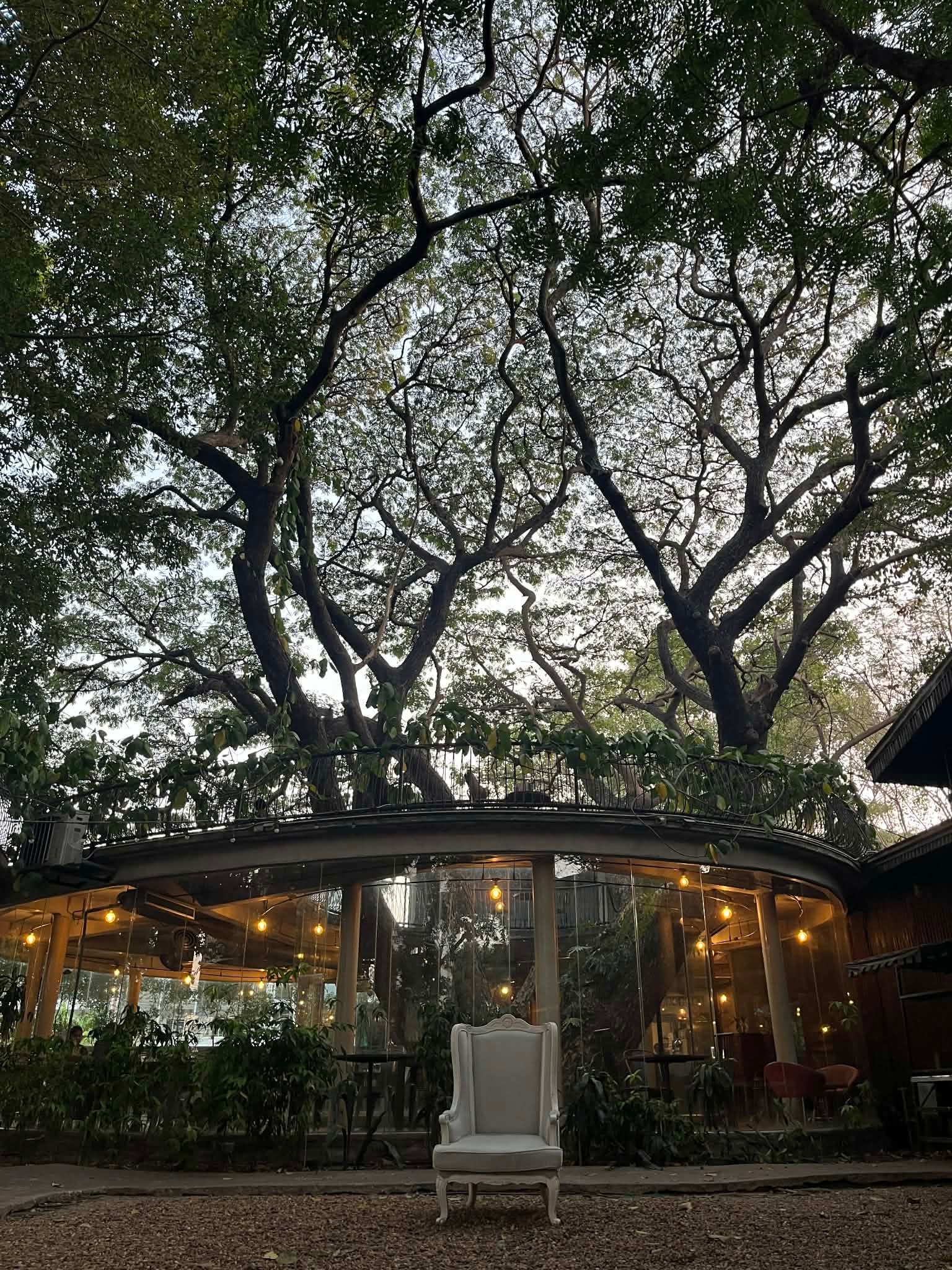 Namon Nomwan -... - Namon Nomwan - หน้ามนหนมหวาน บางแสน