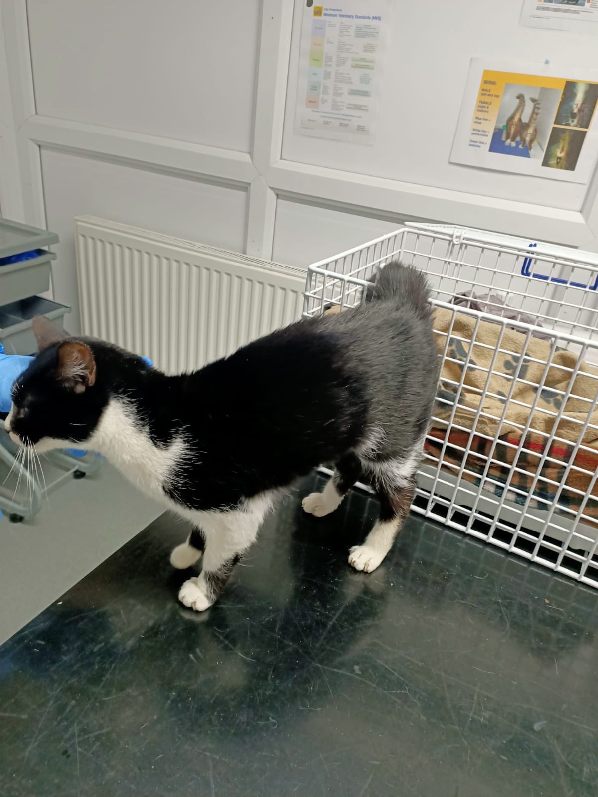 RSPCA Sheffield Shelter | Sheffield