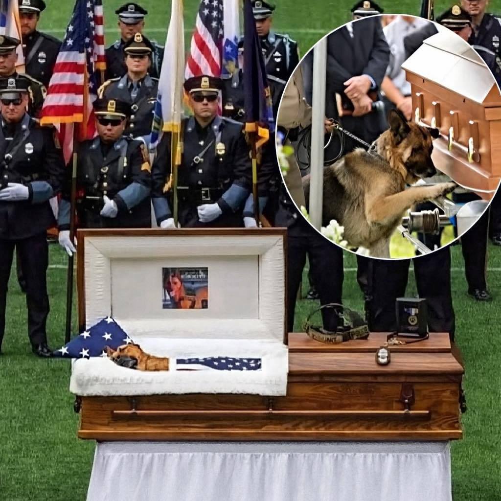 MaximBady - There wasn’t a dry eye in the stadium in Dallas 💔. Police ...