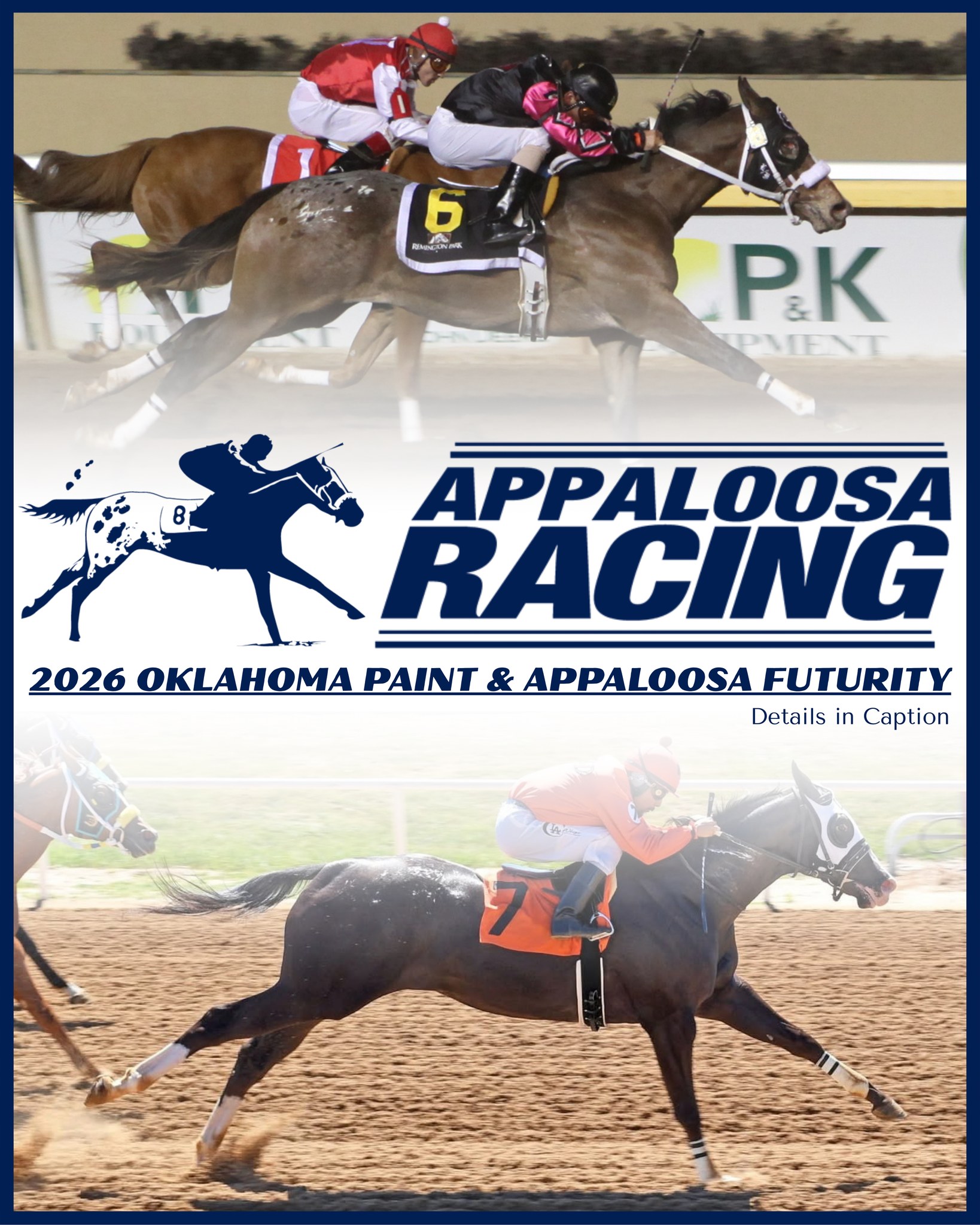 Appaloosa - For the love of the breed!⁣⁣ ⁣ Why should you register your ...