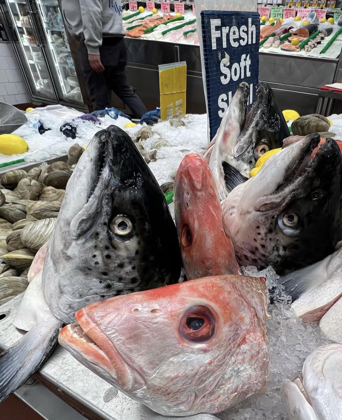 Bronx - Come taste the difference at family-owned Cosenza's Fish Market ...