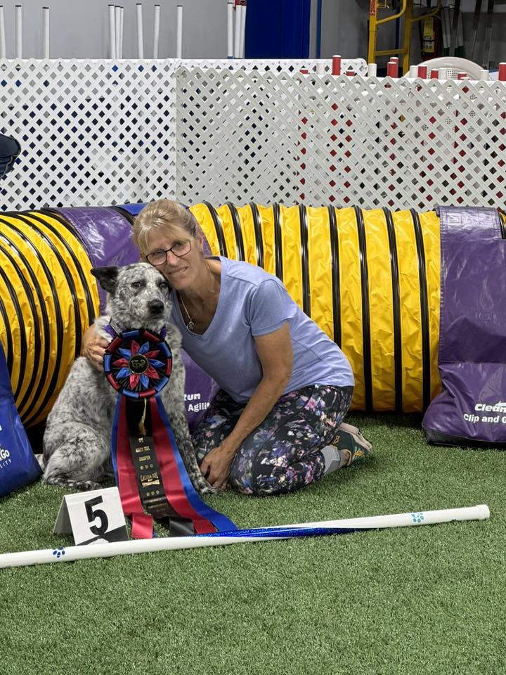 Calusa Dog Agility Club | Fort Myers FL
