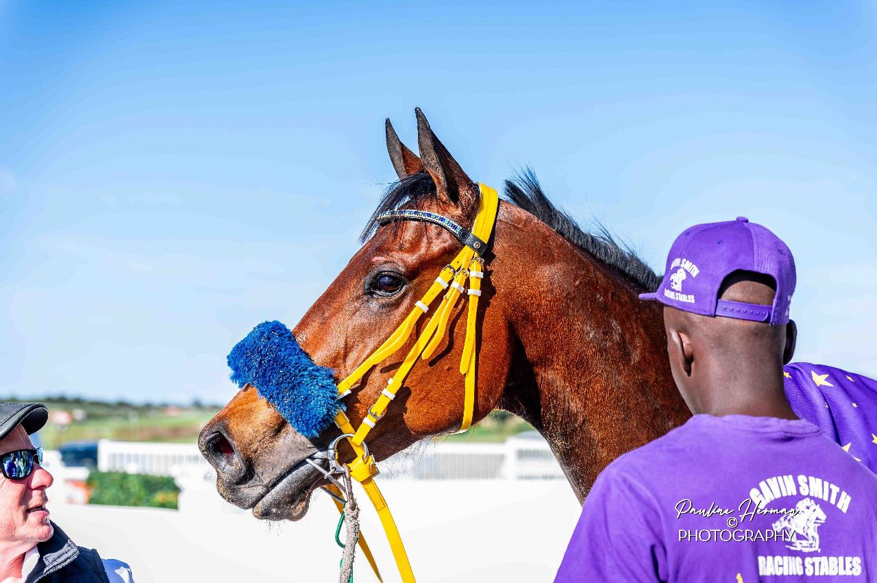 Gavin Smith Racing Stables... - Gavin Smith Racing Stables