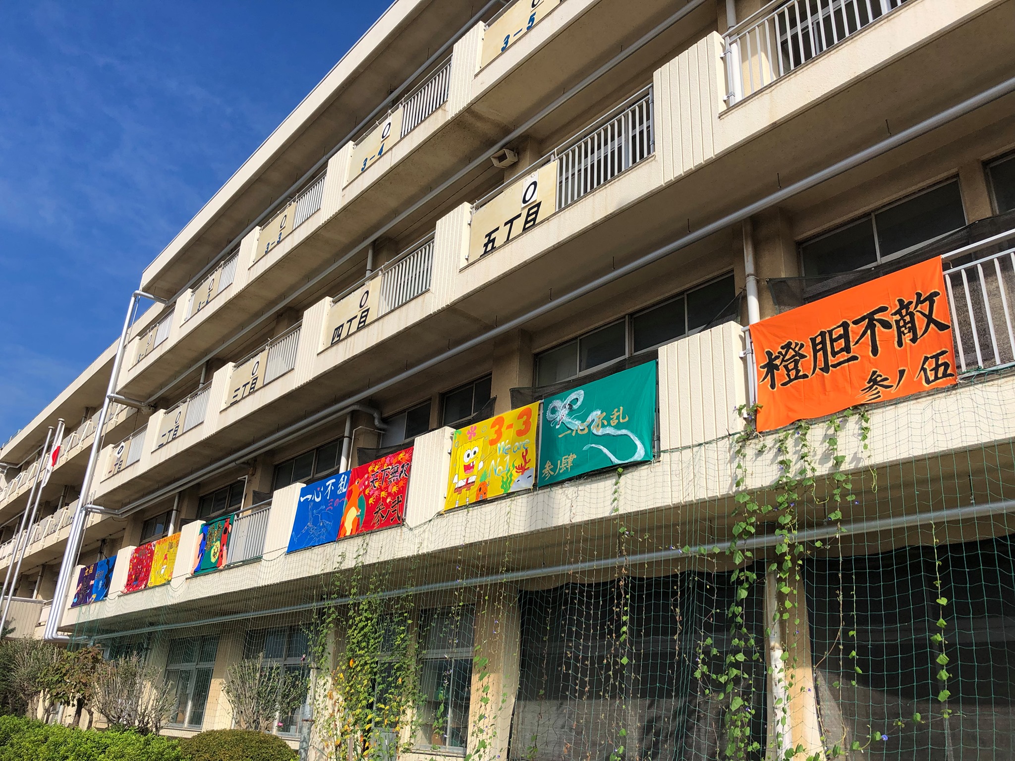 活動歴および当時の関連ビジュアル記録
