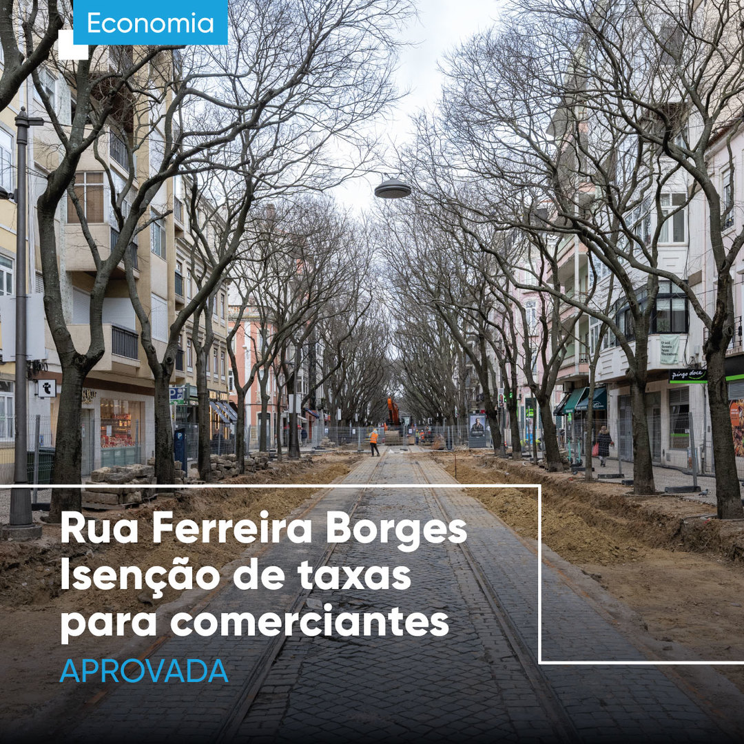 Câmara - Os comerciantes das Rua Ferreira Borges vão estar isentos de ...