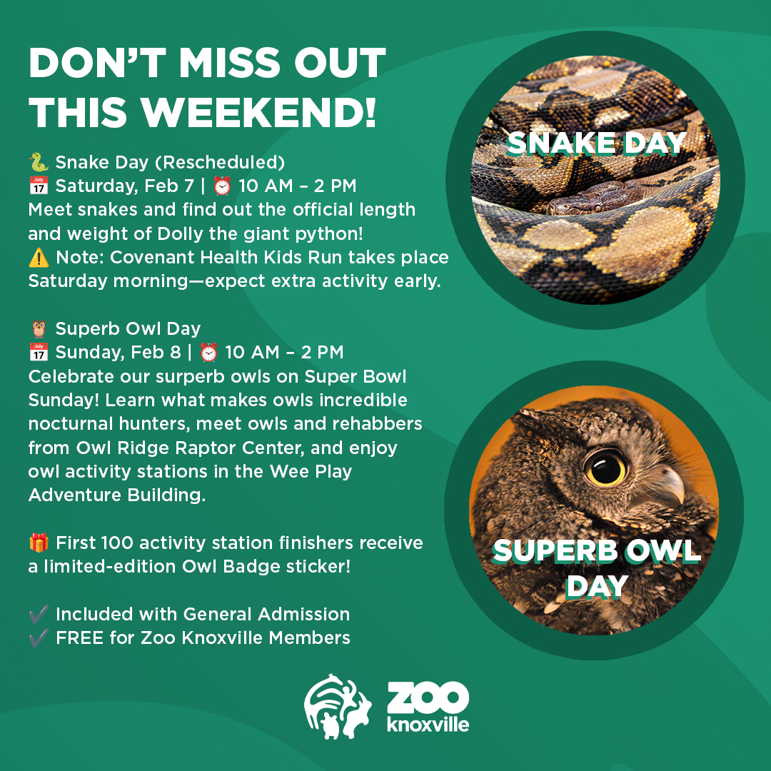 It's a big weekend at Zoo Knoxville! Here's what's happening