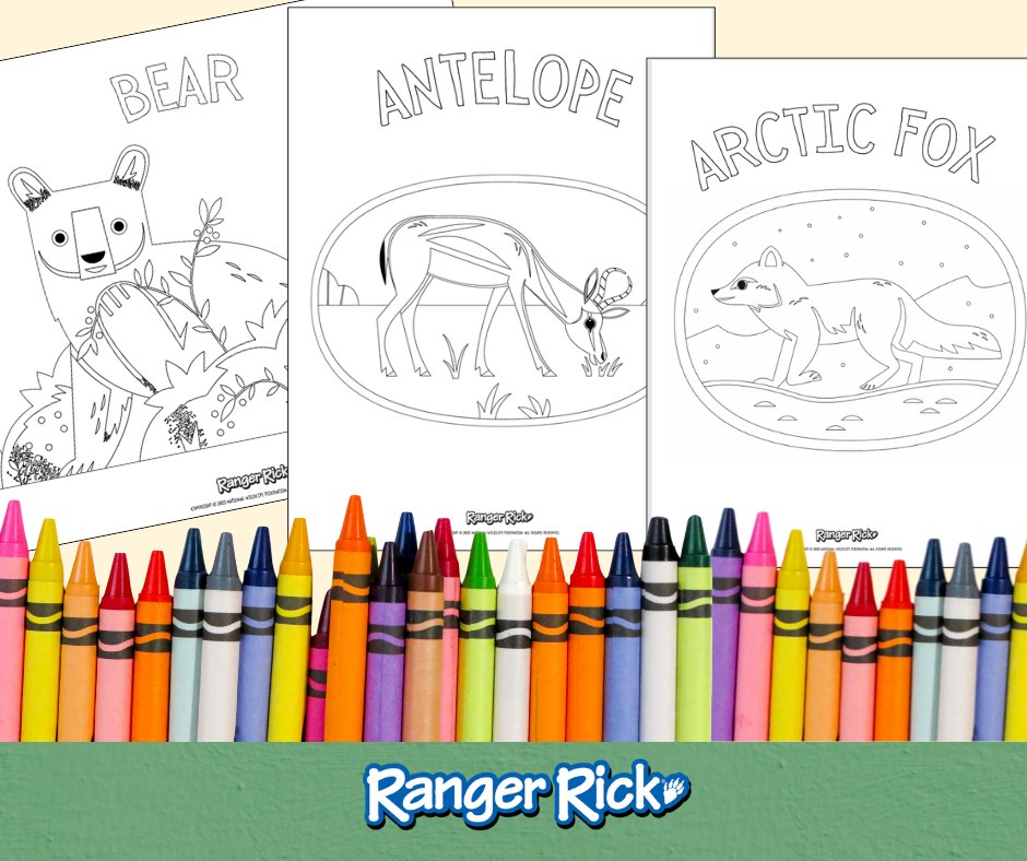 Ranger Rick Mags - We’re thrilled to feature Dr. Earyn McGee, lizard ...