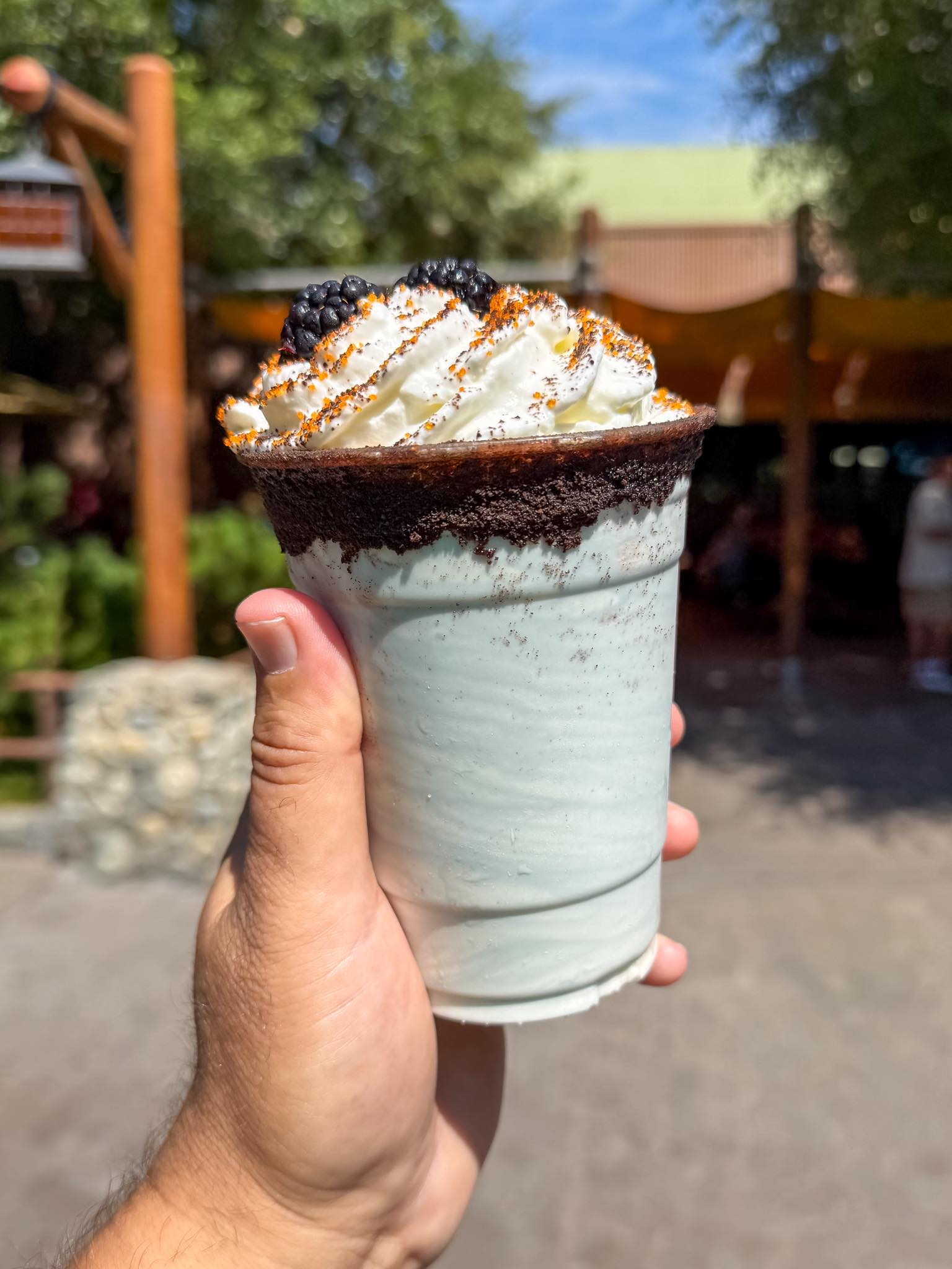 The Boo Berry Shake from Smokejumpers... - Food At Disneyland | Facebook