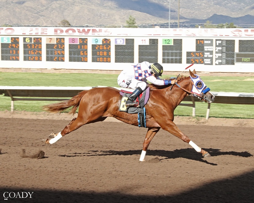 Bett The Limit wins Rainbow Futurity appeal