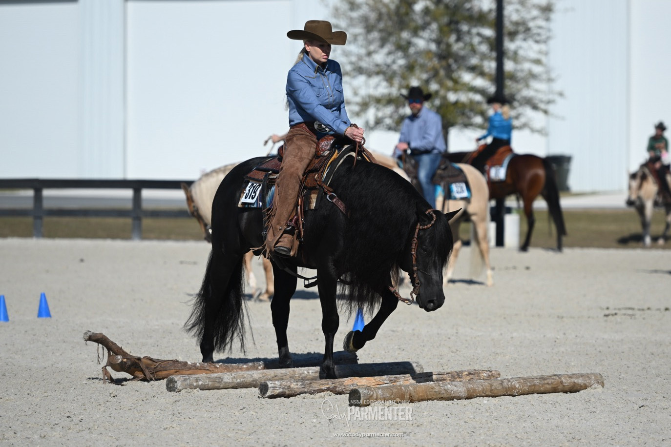 National - Getting ready for your first NSBA show? All owners and ...