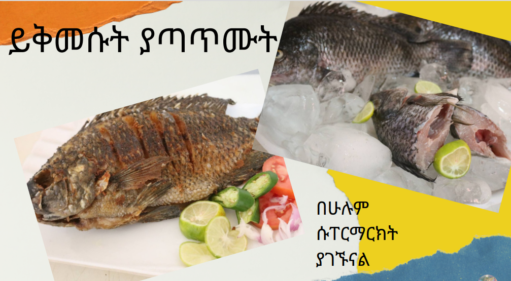 Mr Fish | Addis Ababa