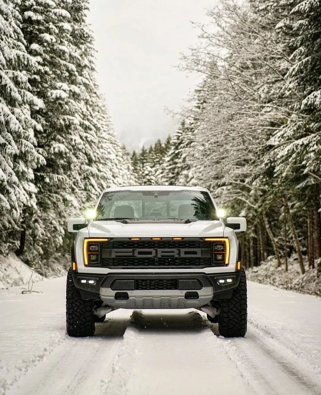 raptor.world - Anybody need a Christmas card 📸 Source: @chance.the ...
