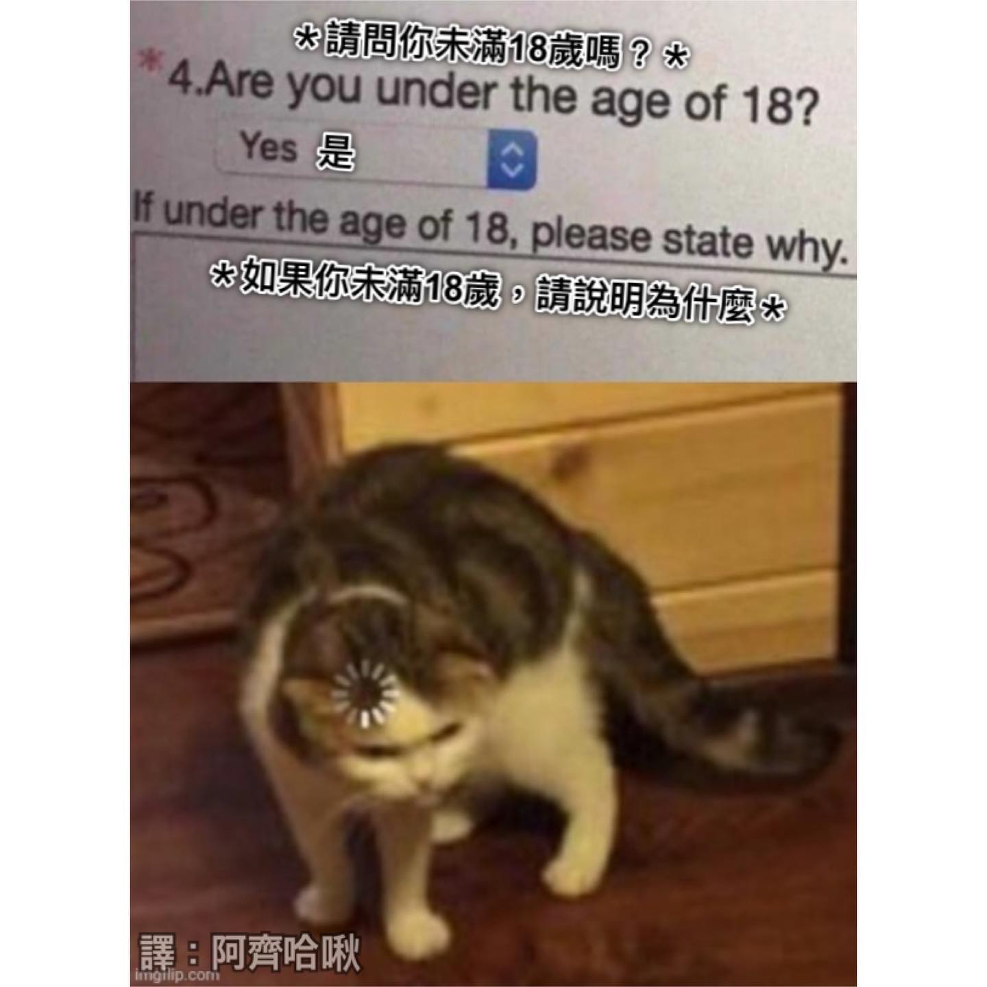 阿齊哈啾 - 呃…因為…？ ＊翻譯梗圖＊ #梗圖 #迷因 #meme #memes #迷因療法 #dankmemes #梗 #搞笑 #迷因梗圖 ...
