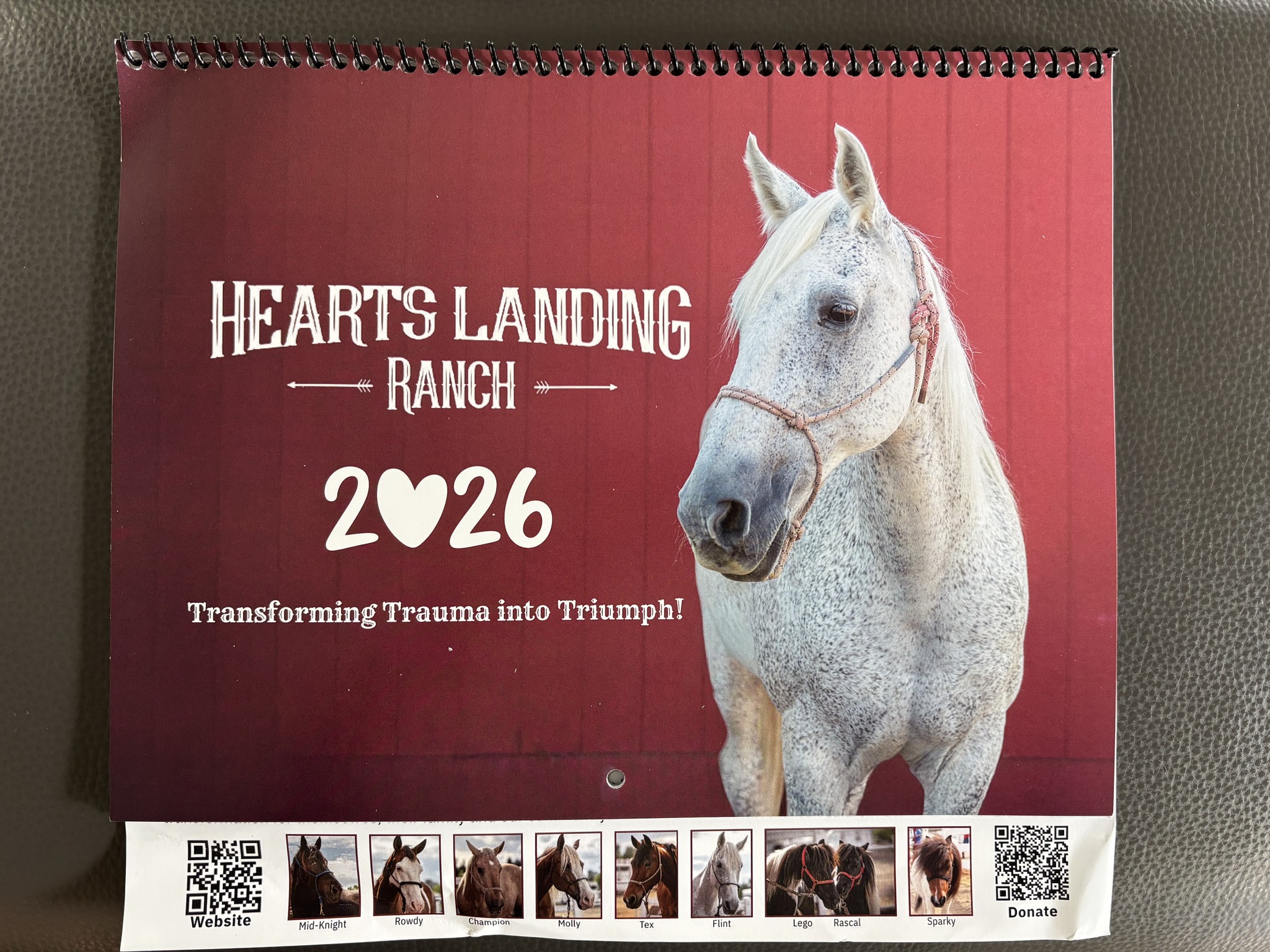 Hearts Landing Ranch | Granite Bay CA
