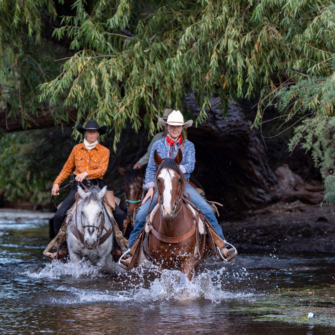 Arizona Dude Ranch Association