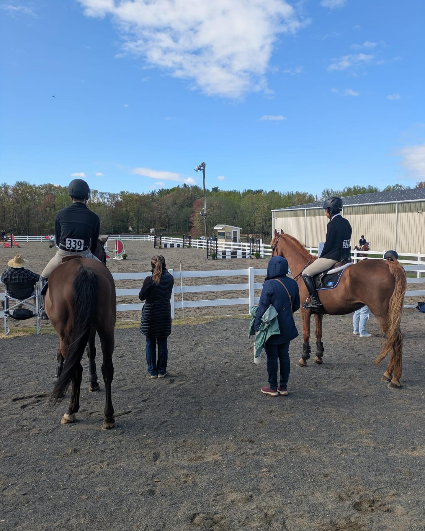 A & E Show Stables/ Wilhelmina Horzepa LLC | Robbinsville NJ