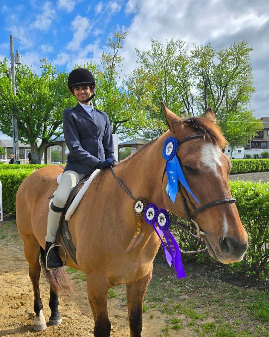 A & E Show Stables/ Wilhelmina Horzepa LLC | Robbinsville NJ