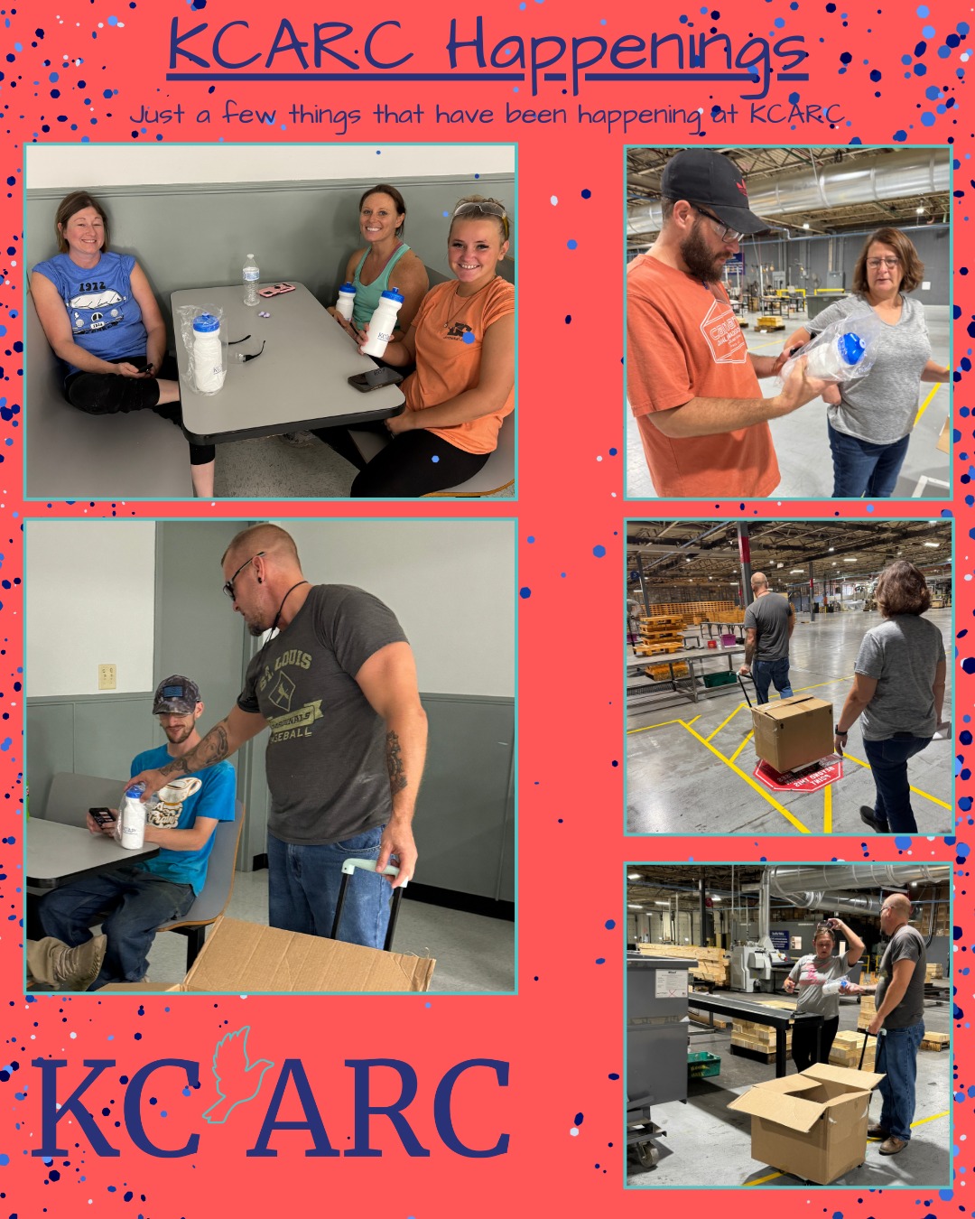 KCARC - 🌟 Exciting times at KCARC! 🌟 This week, Paul... | Facebook