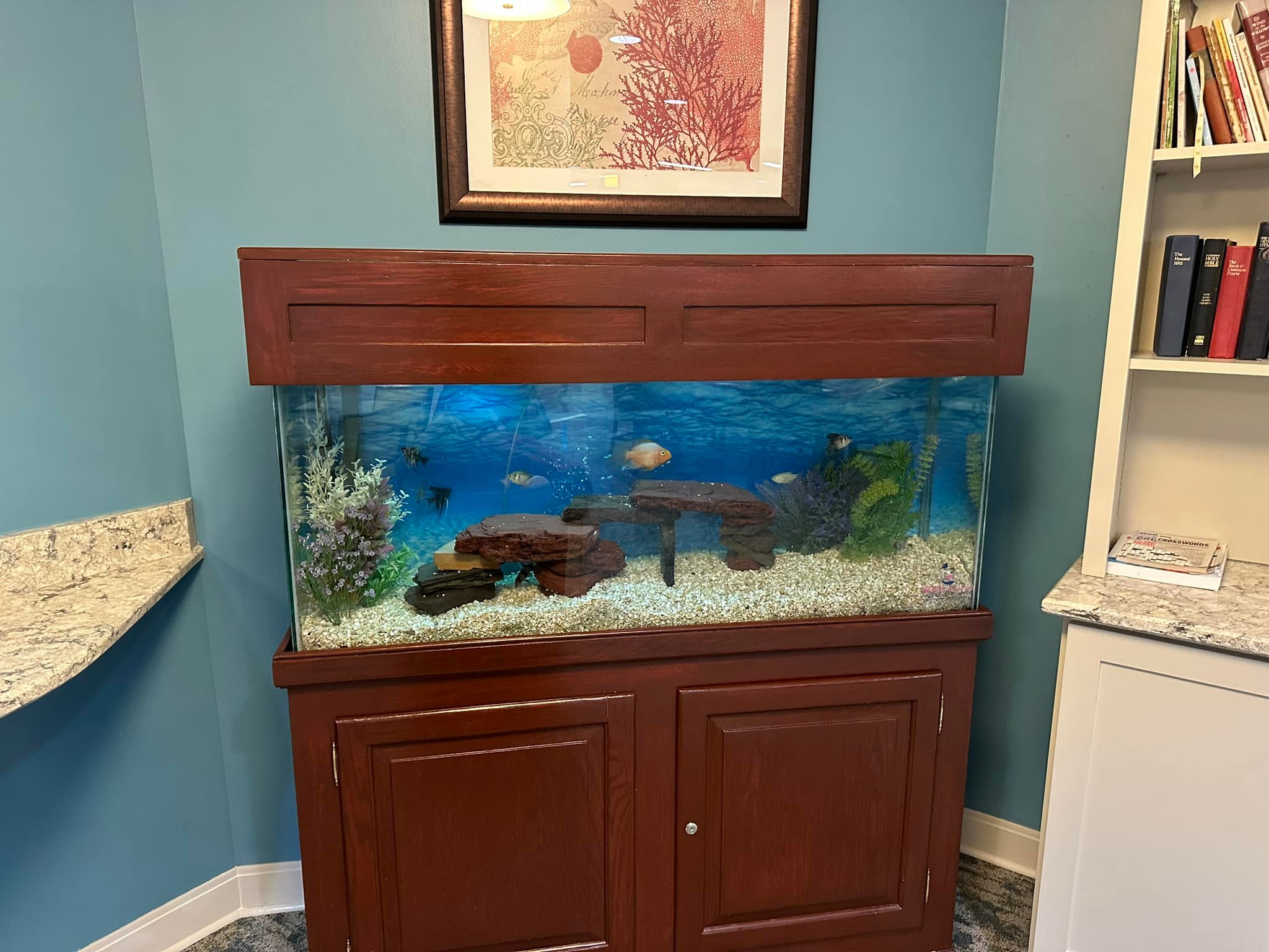 Robin's Nest Aviaries and Aquariums Corp