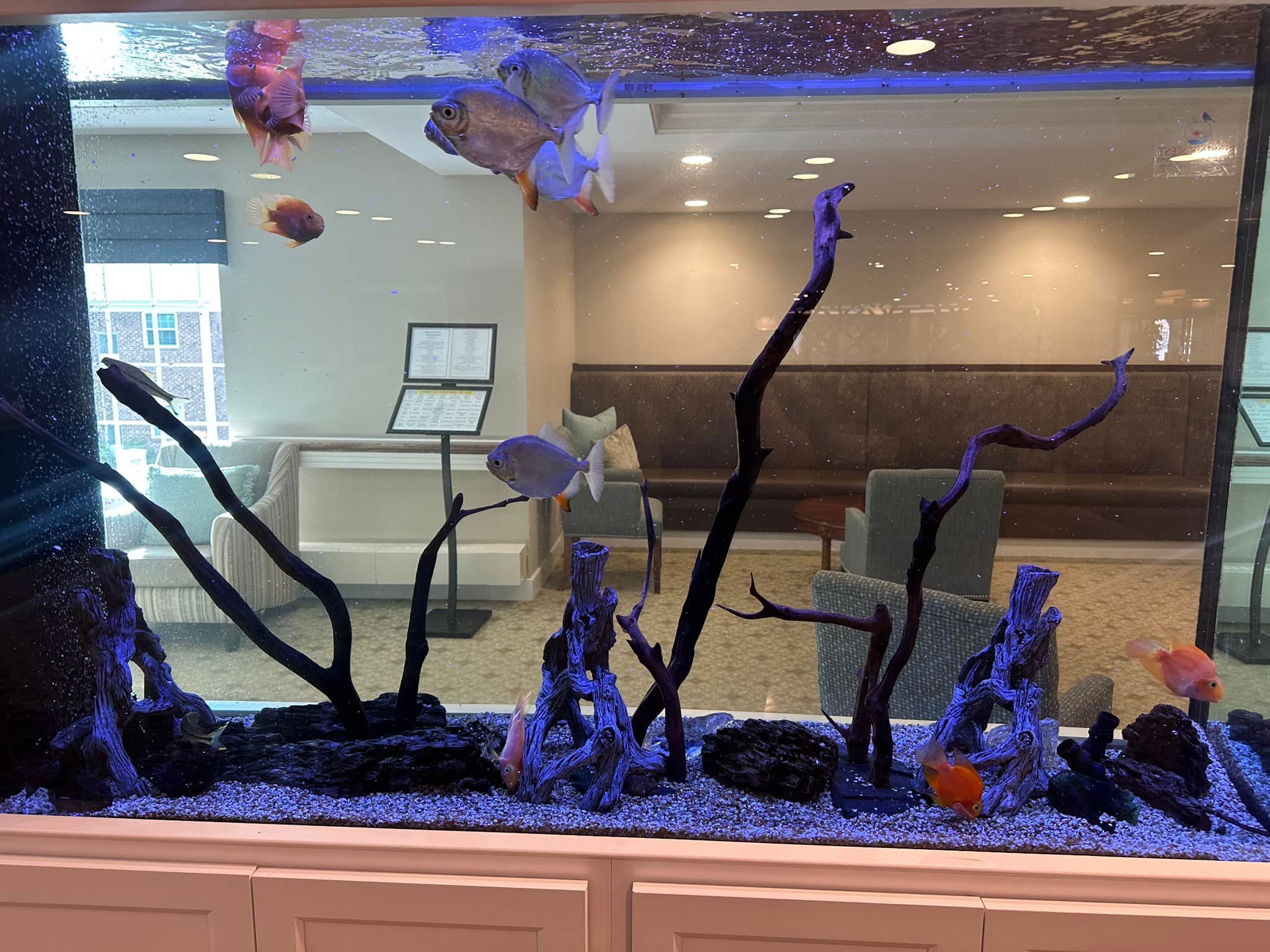 Robin's Nest Aviaries and Aquariums Corp