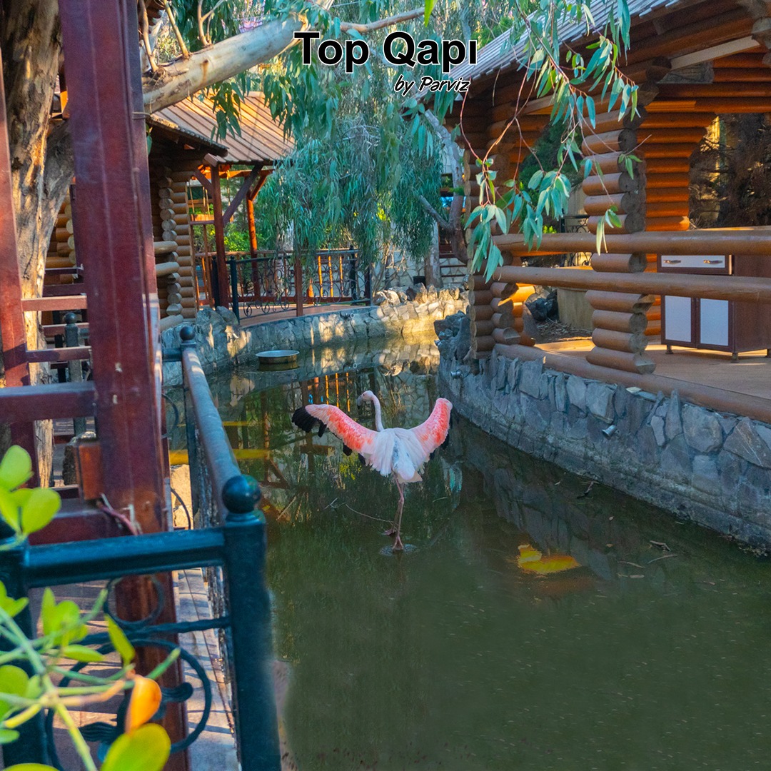 Top Qapı Restoran | Baku