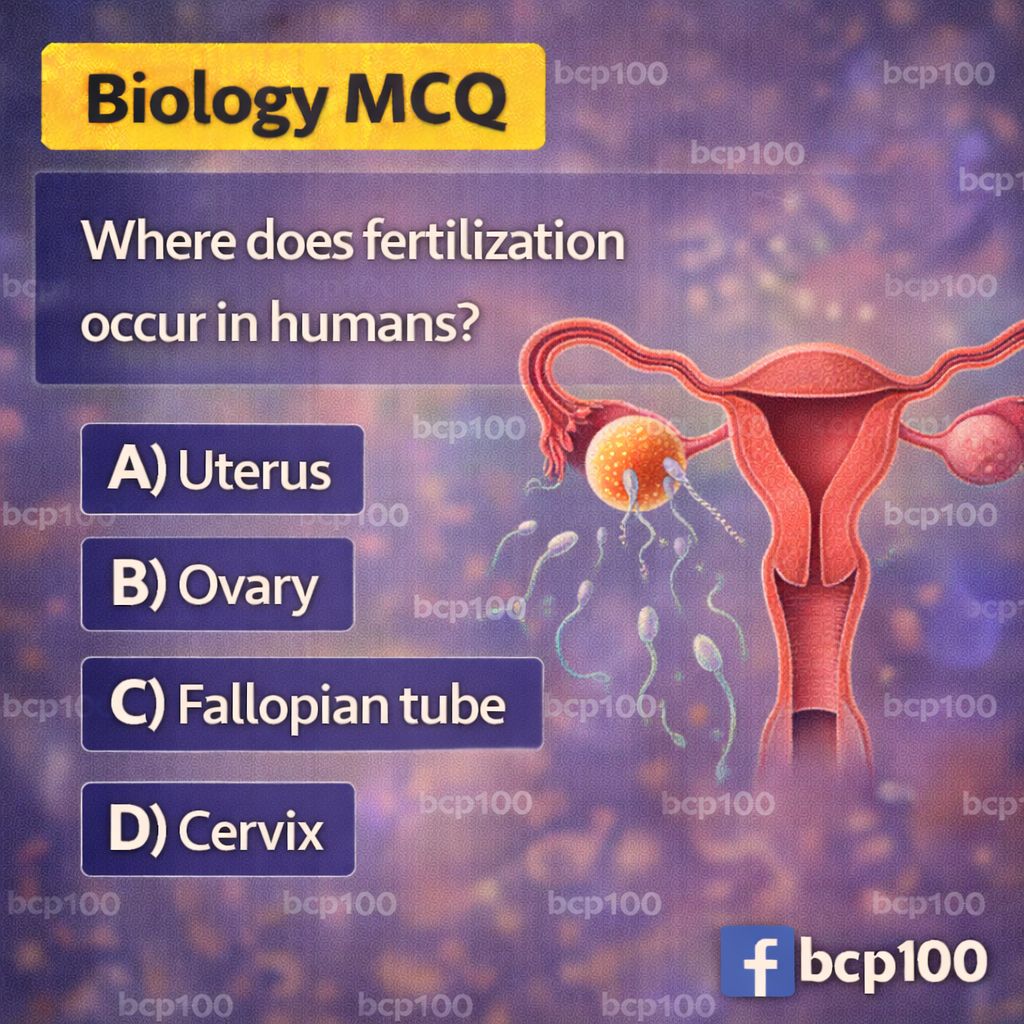 Biology - Mitosis is how one cell divides to create two genetically ...