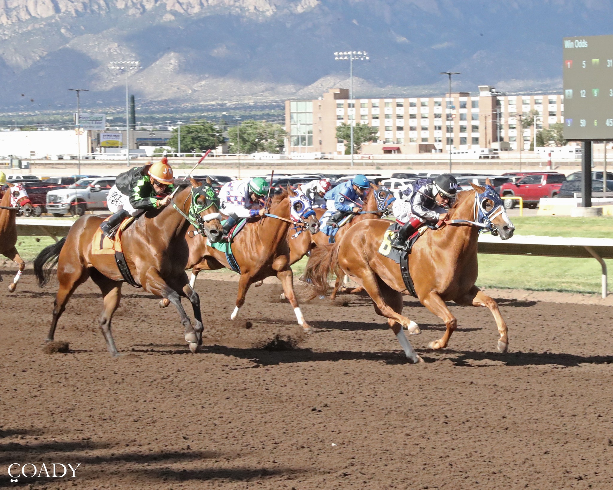 Millionaire Political Twist made his 3-year-old debut a winning