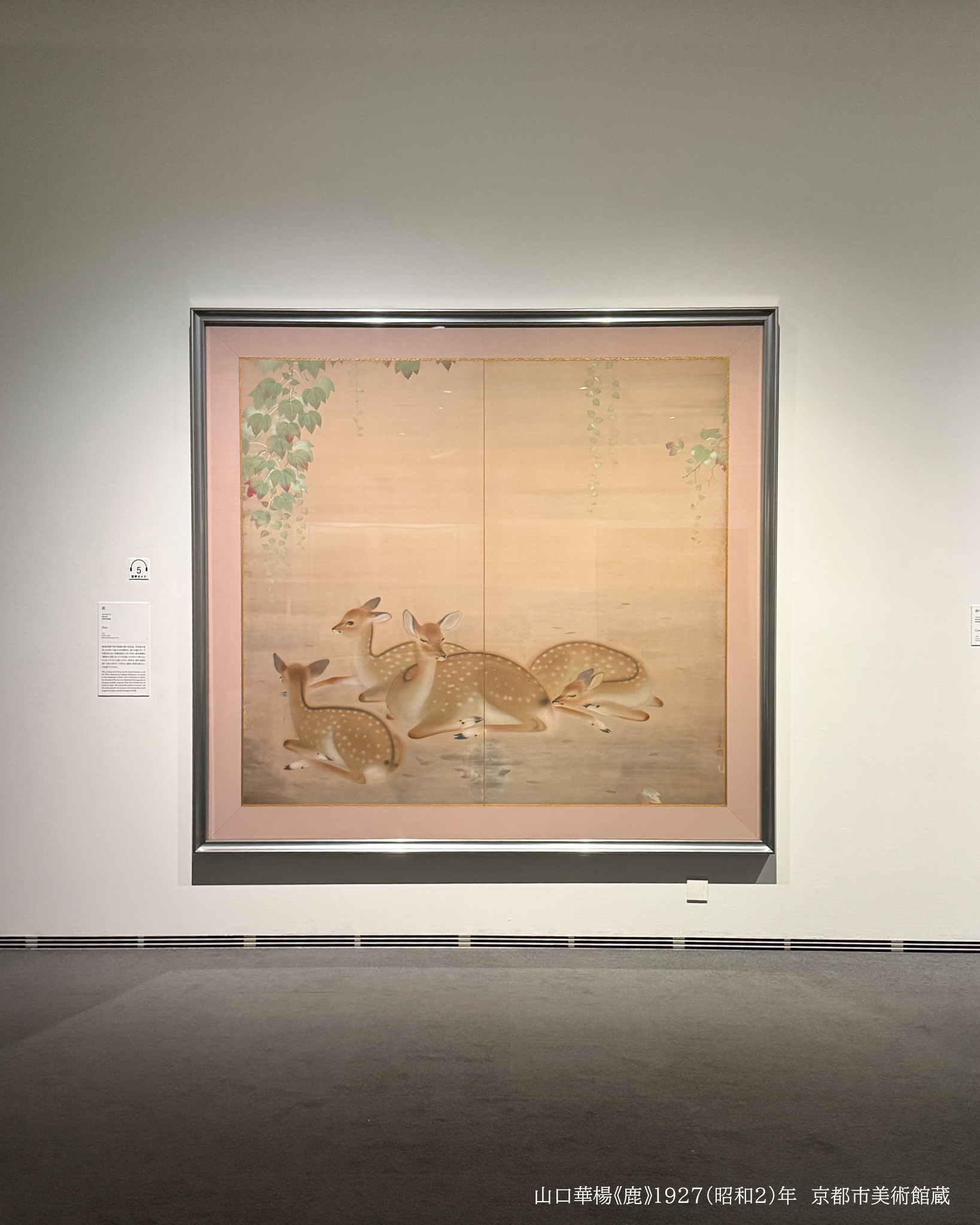 山口華楊展 見どころ紹介① ＼ 父は友禅染職人、母の実家は絵具商と