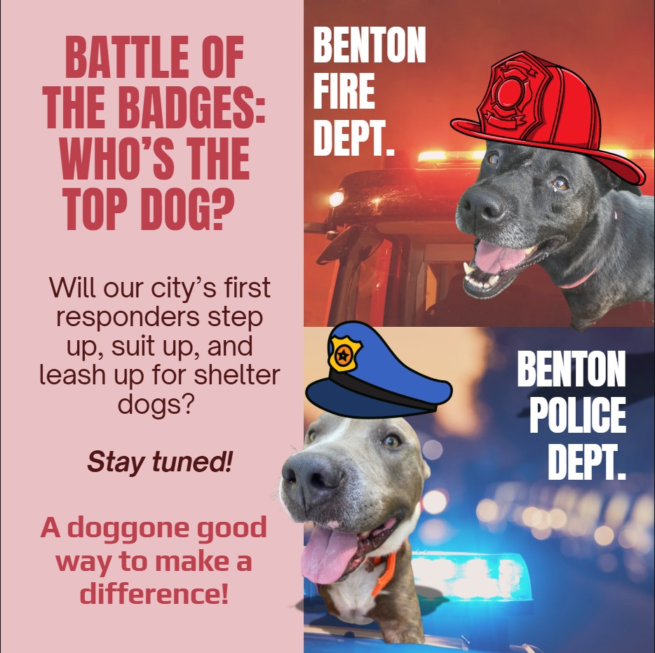 Benton - Calling all heroes on two legs (and four)! The Ulti-mutt ...