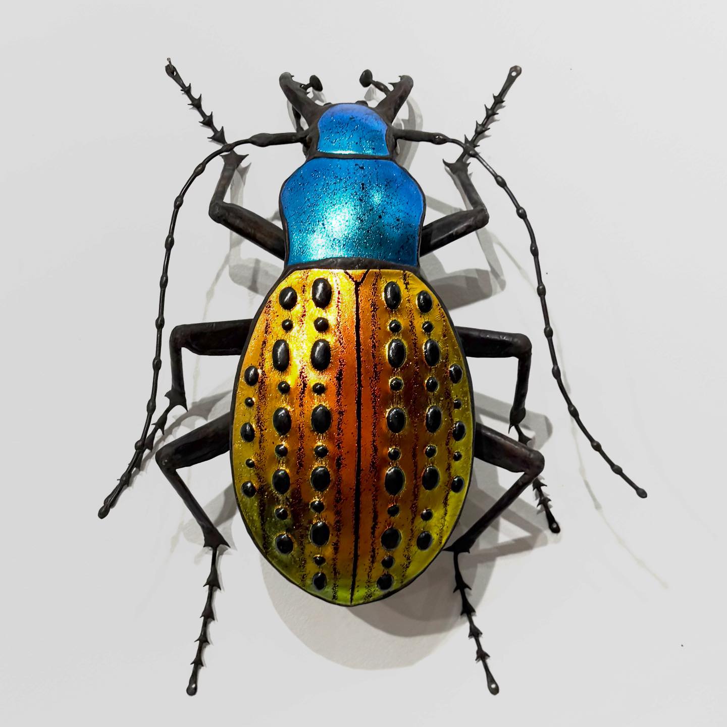 Sean Goddard Insects