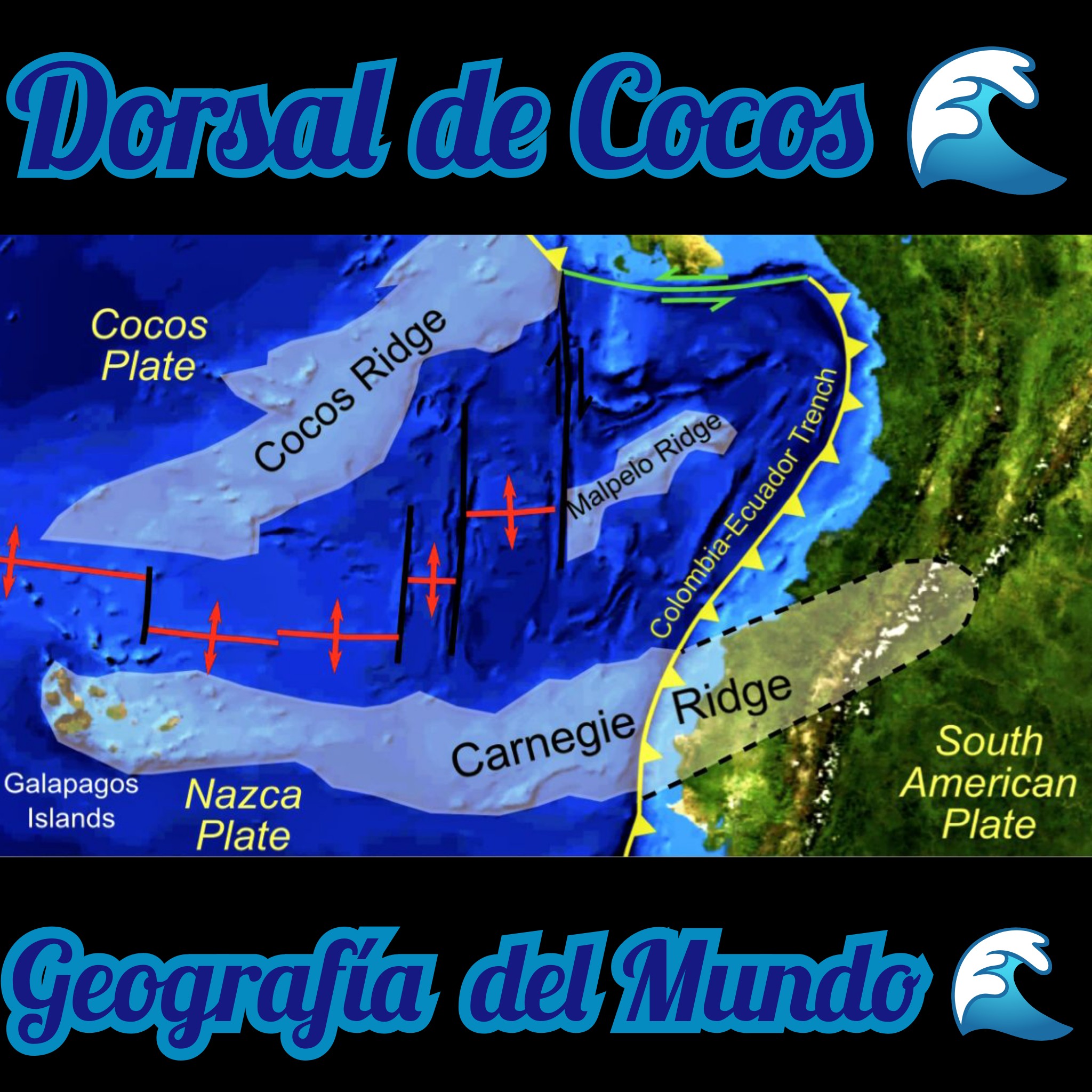 Dorsal de Cocos 🌊🌊🌊🌊🌊🌊🌊... - Geografia del Mundo | Facebook