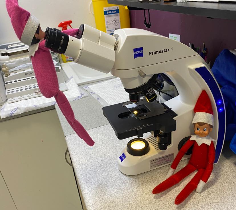 Port - Holly has been caught having a sneaky peek down the microscope ...