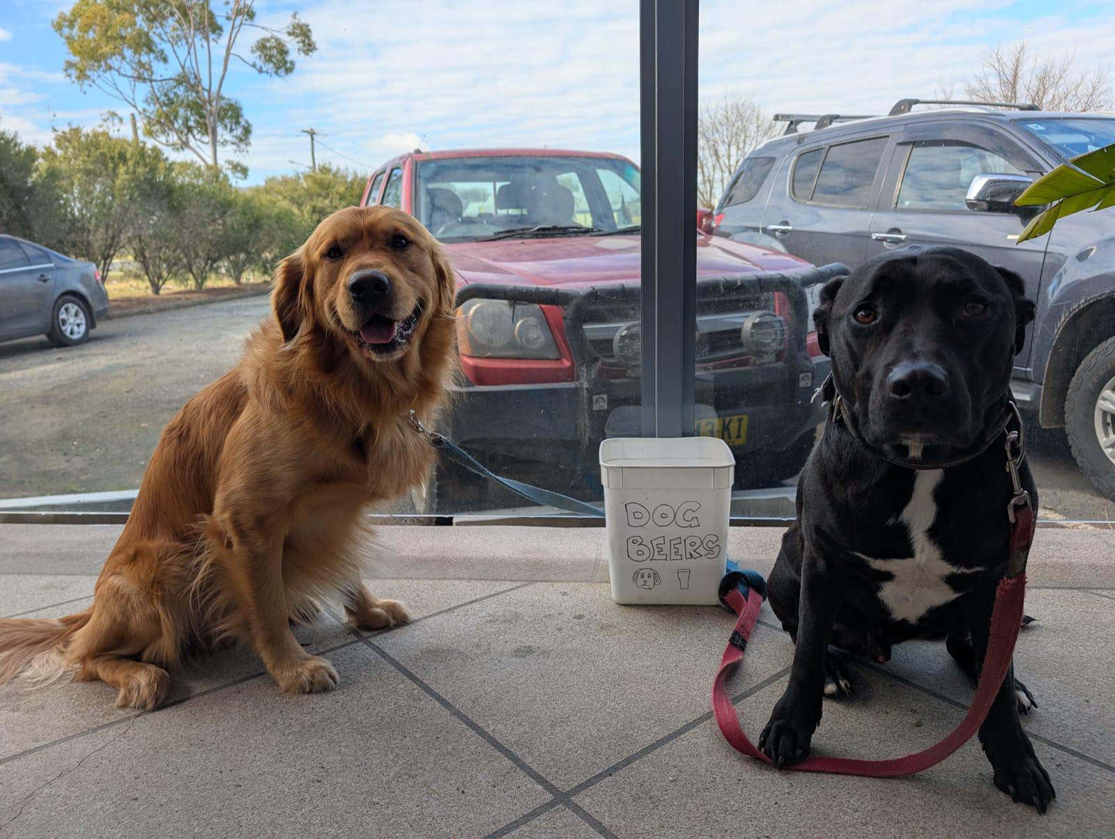 Finley RSC - 🐾🐶 Tails on the Deck & Cold Ones in Hand! 🐶🐾... | Facebook