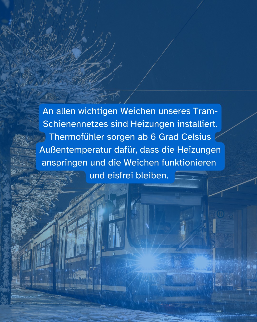 MVG - Langer Kerl mit viiiiel Platz: Ab kommenden Montag, 5. Oktober ...