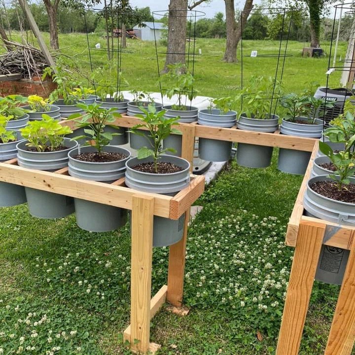 Tip - Built this bucket garden setup to keep everything organized and ...