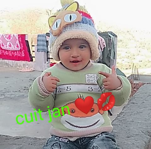 Hameed Rajput