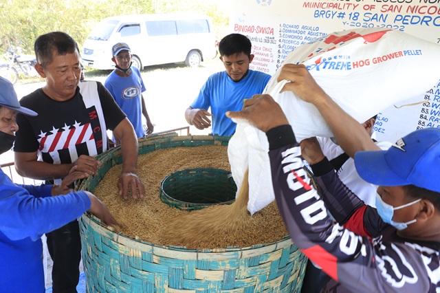 Pinas - BAMBOO-BIN DRYER BOOSTS RICE QUALITY, CUTS COSTS FARMERS beyond ...