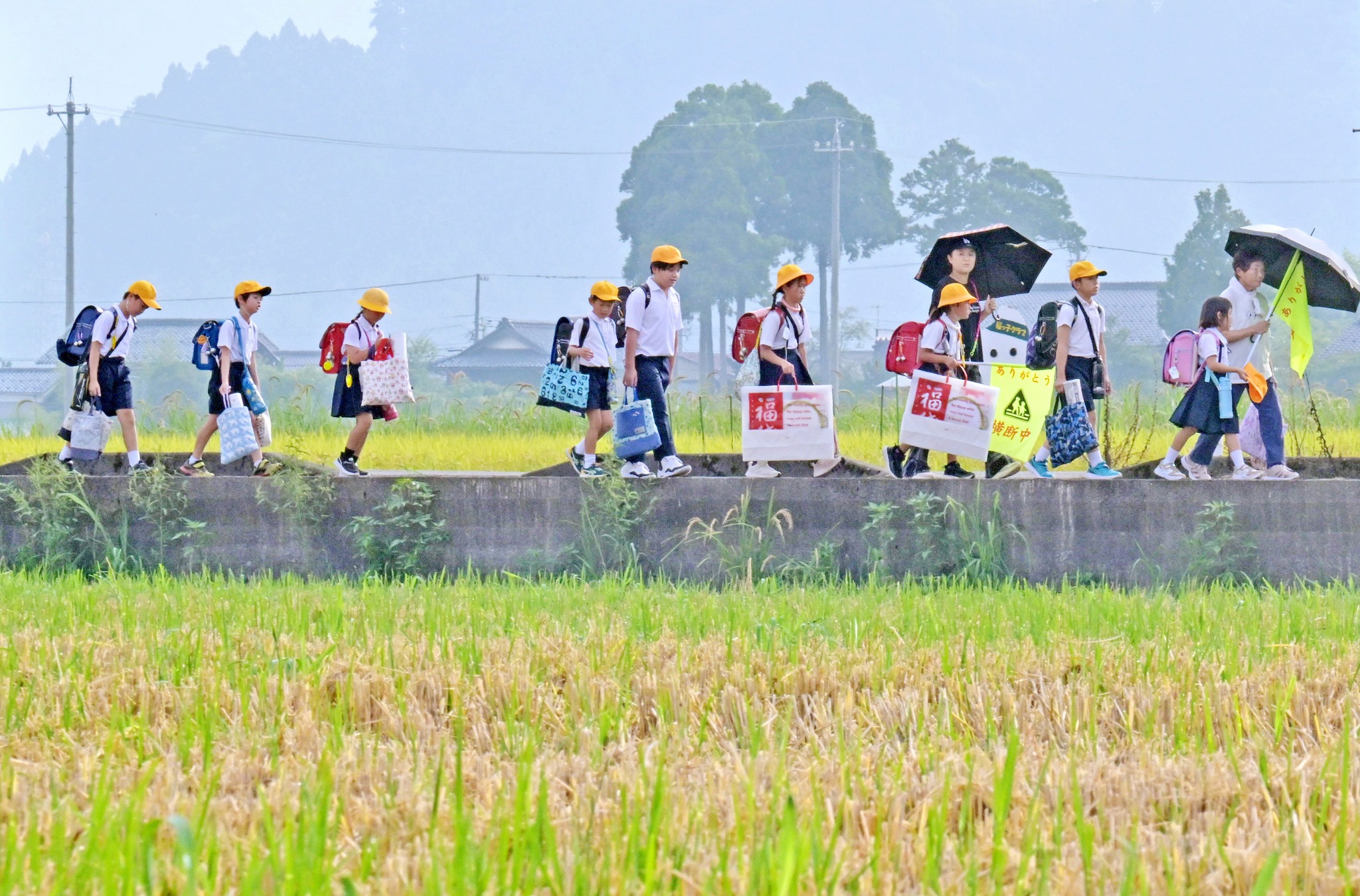 日刊県民福井 - 伝統の「菅笠」 丁寧に仕上げ 福井・清水東地区 県指定の郷土工芸品である「越前菅笠（すげがさ）」の製作が、福井市清水東地区で ...