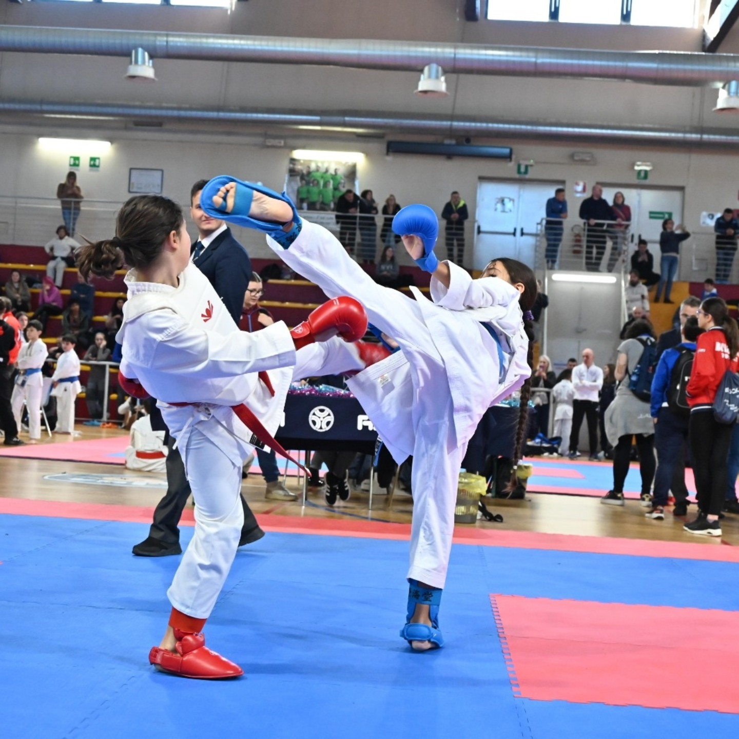Palestra Dojo Club