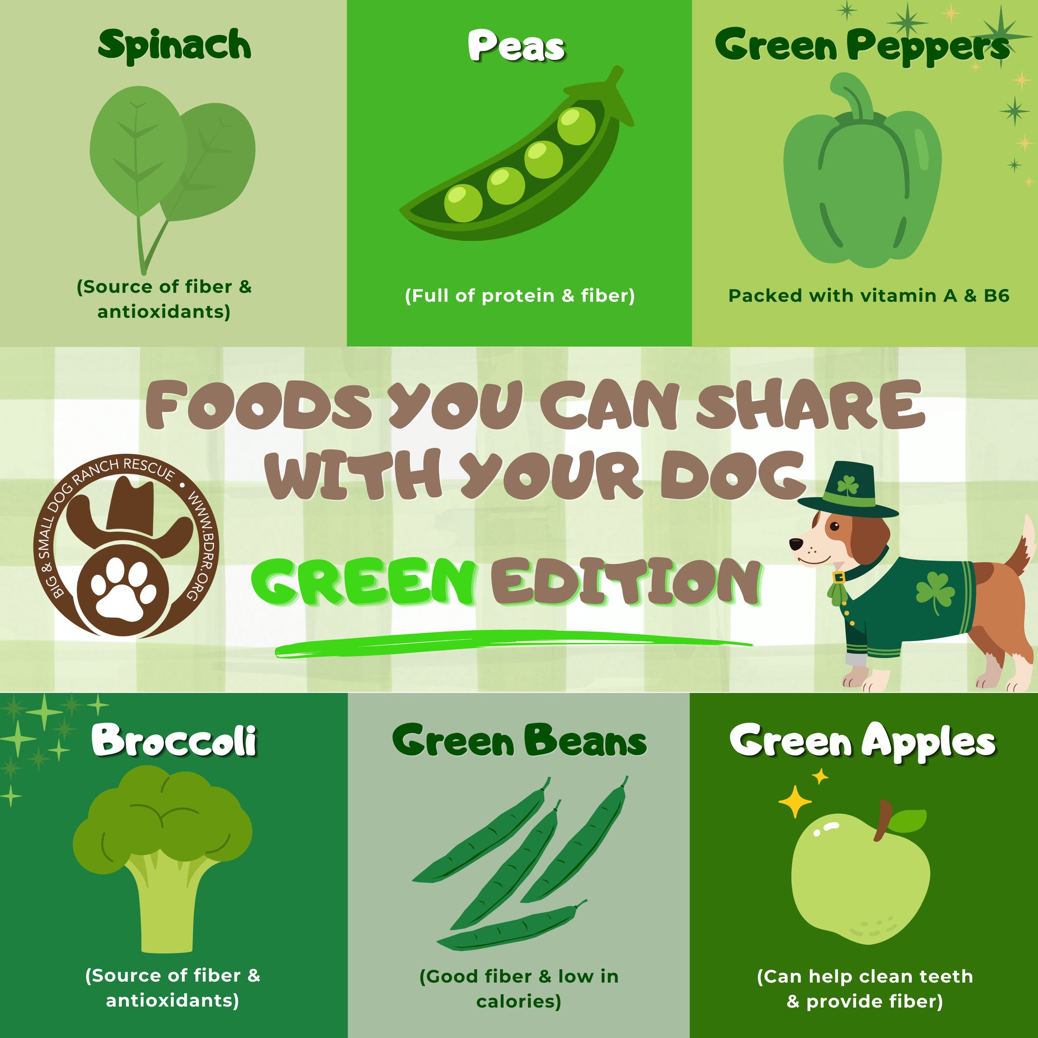 Healthy snacks aren't just for humans! 🐾🥦 Did you know there are plenty of nutritious green foods you can safely share with your dog? Spinach, peas, green peppers, broccoli, green beans, and