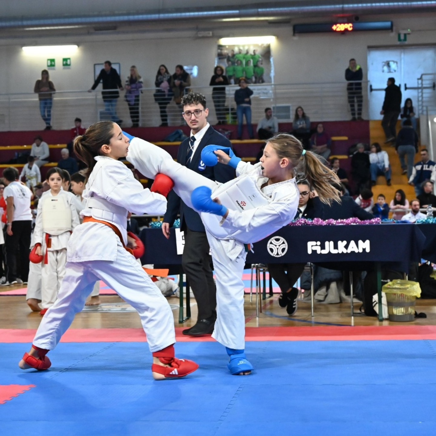 Palestra Dojo Club