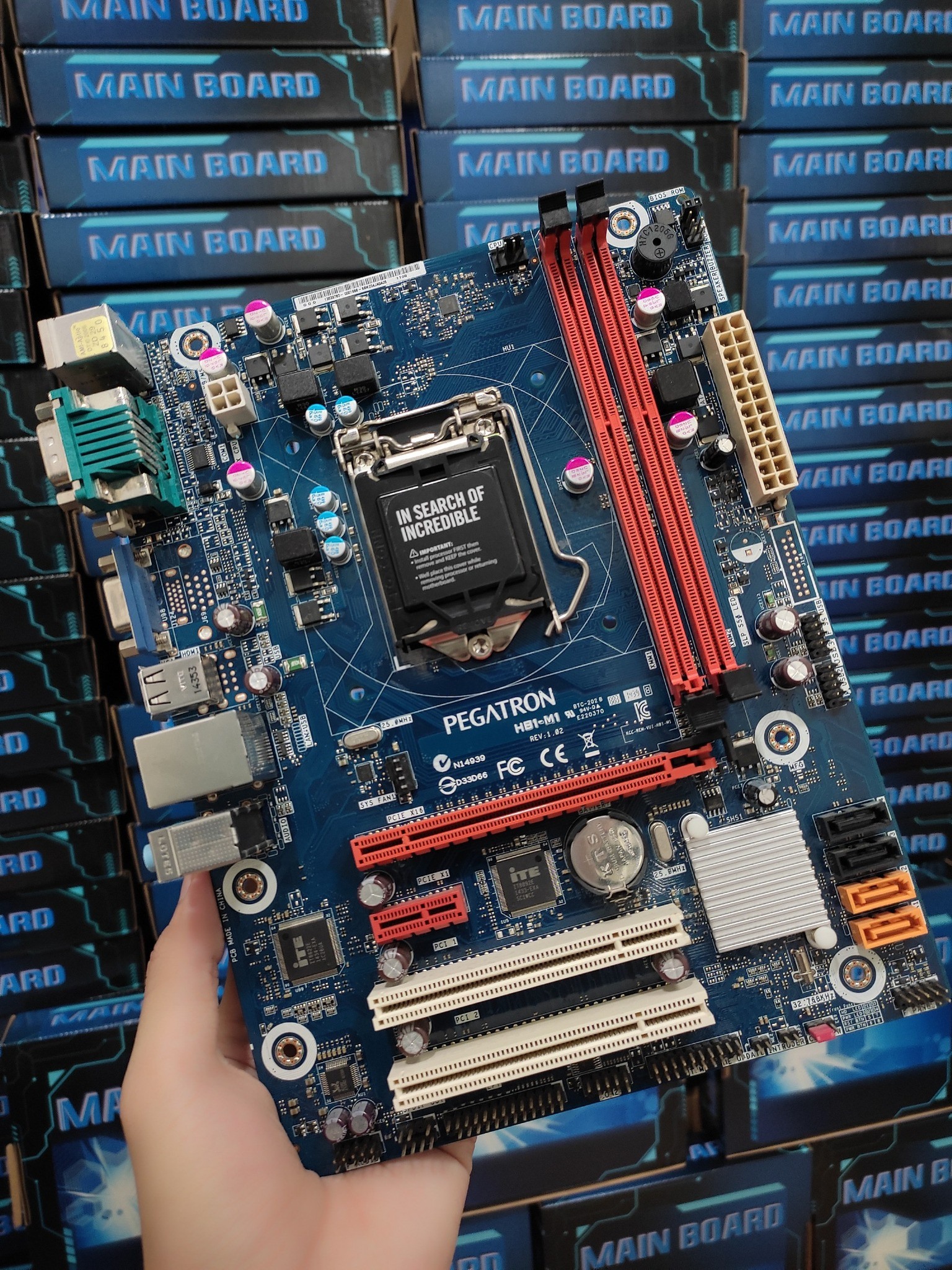 PC - 💥 Main Pegatron H61, H81 em sẵn kho, hàng nhập Korea, bảo hành 1 ...