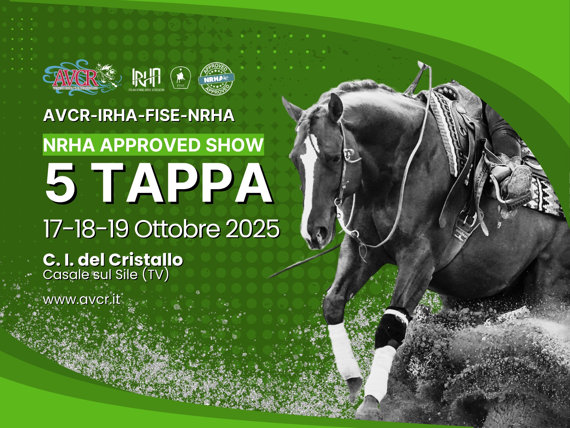 💥 #SCADENZE 💥 5... - AVCR Veneto Friuli V.G. Reining Asd | Facebook